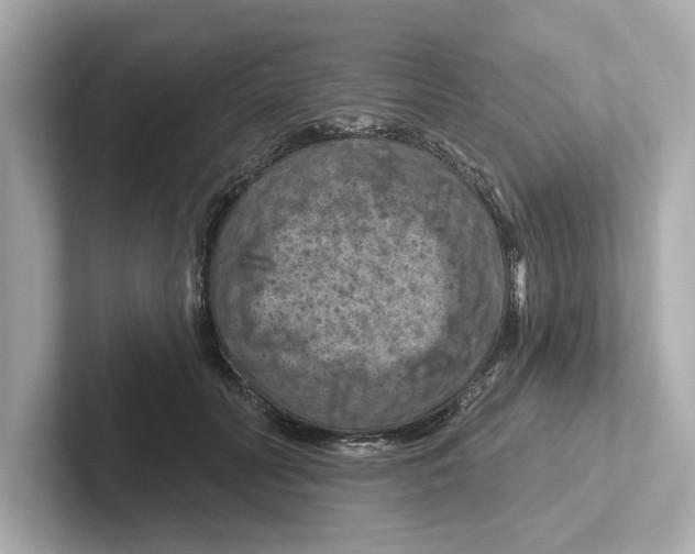 X0000101090606200807241009