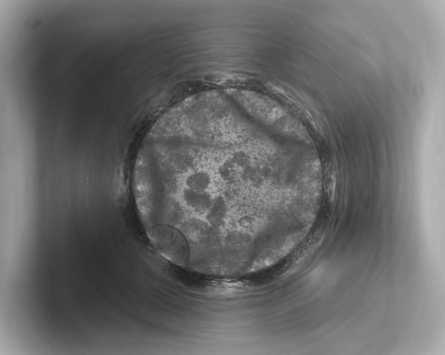 X0000101090607200807241009