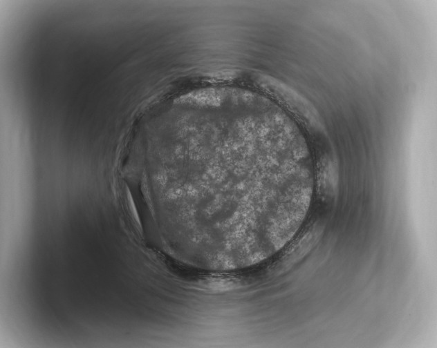 X0000101090608200807241009