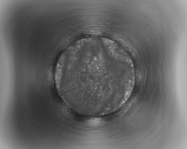 X0000101090609200807241009