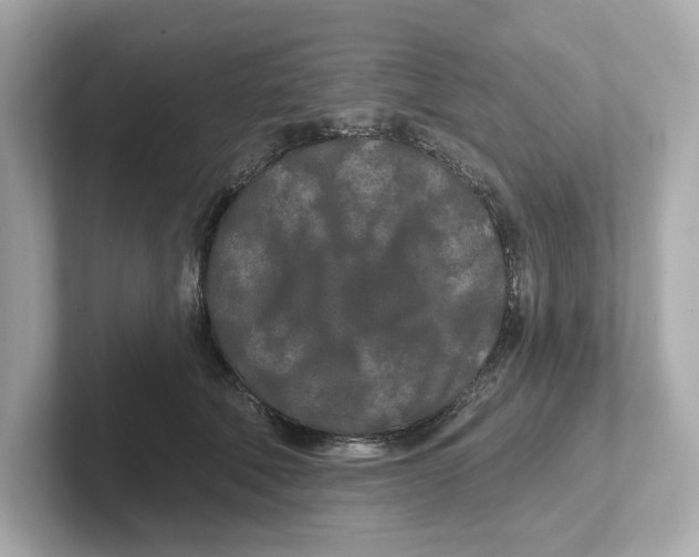 X0000101090610200807241009