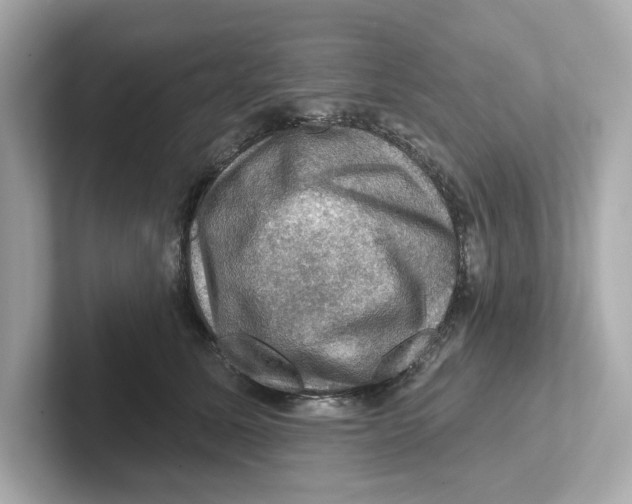 X0000101090611200807241009