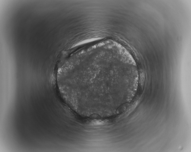 X0000101090613200807241009