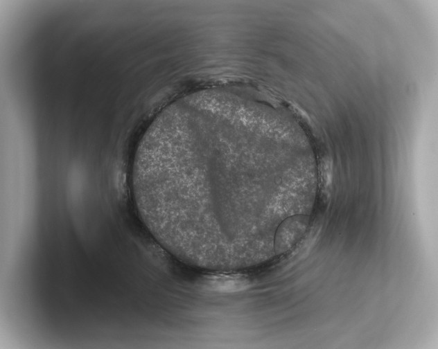 X0000101090615200807241009