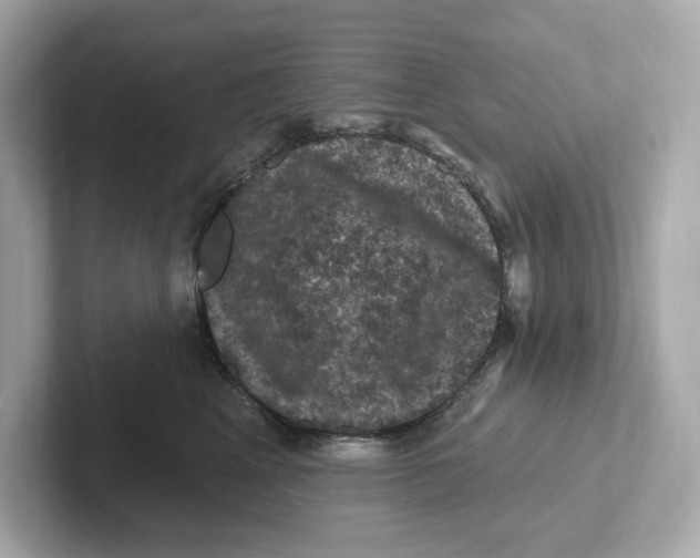 X0000101090617200807241009