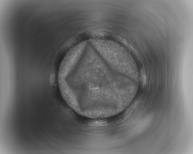 X0000101090619200807241009