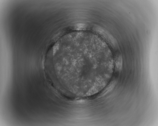 X0000101090620200807241009