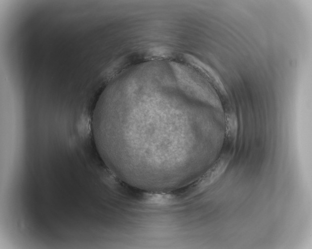 X0000101090621200807241009