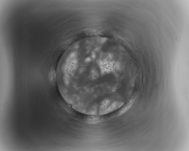 X0000101090624200807241009