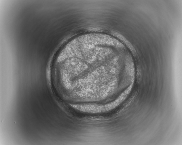 X0000101090626200807241008