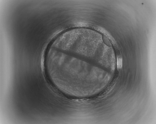 X0000101090627200807241008