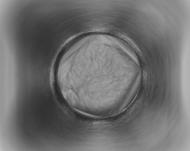 X0000101090628200807241008