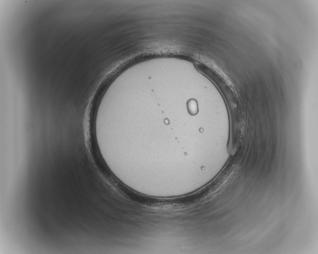 X0000101090629200807241008