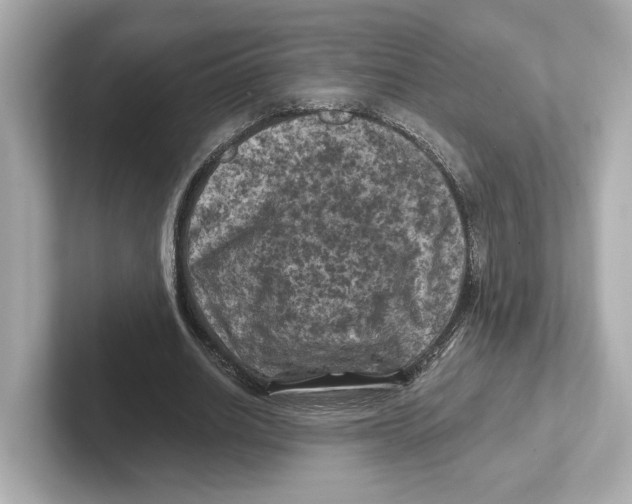 X0000101090630200807241008