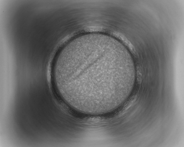 X0000101090631200807241008