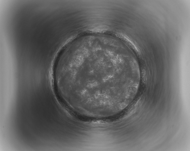 X0000101090634200807241008