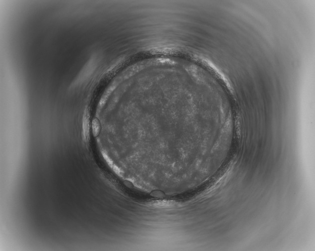 X0000101090637200807241008