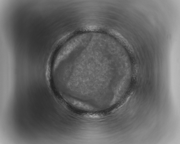 X0000101090640200807241008