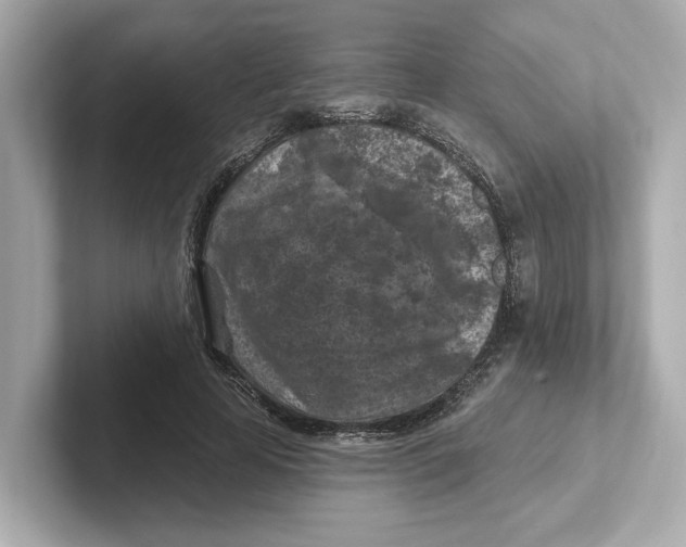 X0000101090641200807241009