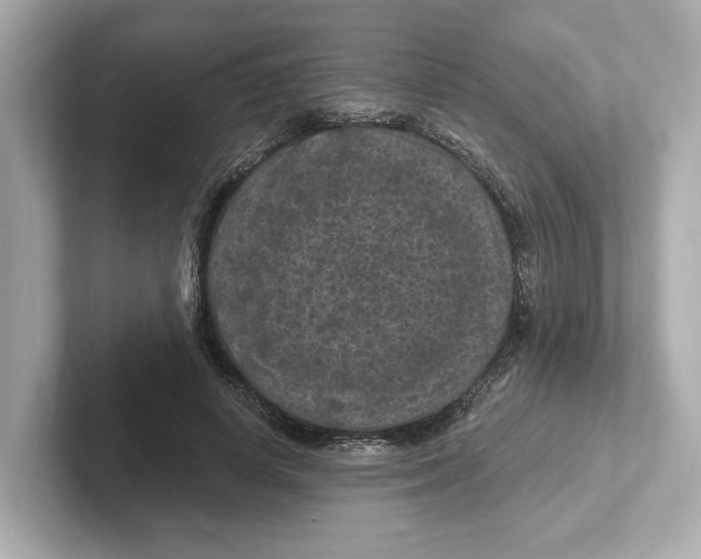 X0000101090642200807241009