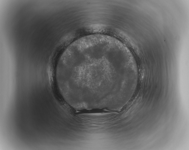 X0000101090643200807241009