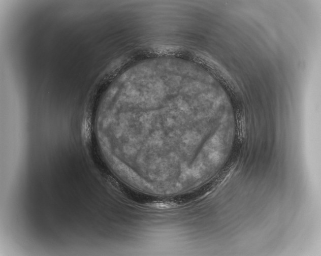 X0000101090644200807241009