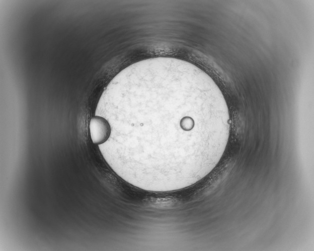 X0000101090645200807241009