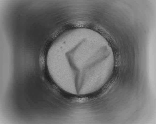 X0000101090646200807241009