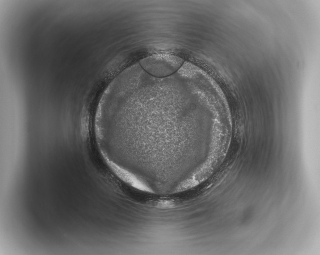 X0000101090647200807241009