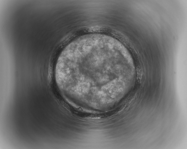 X0000101090648200807241009