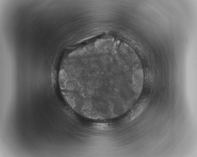 X0000101090649200807241009