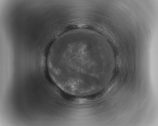 X0000101090650200807241009