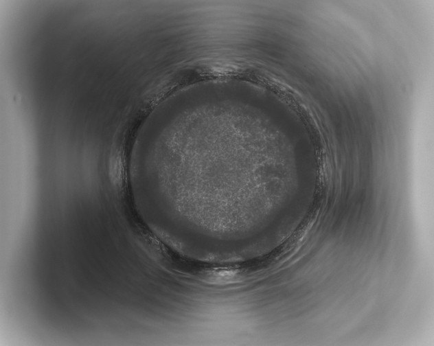 X0000101090651200807241009