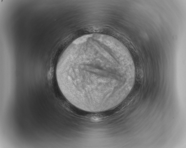 X0000101090652200807241009