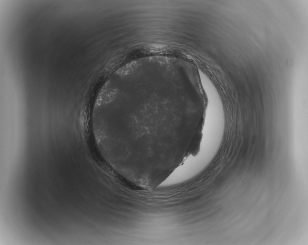 X0000101090653200807241009