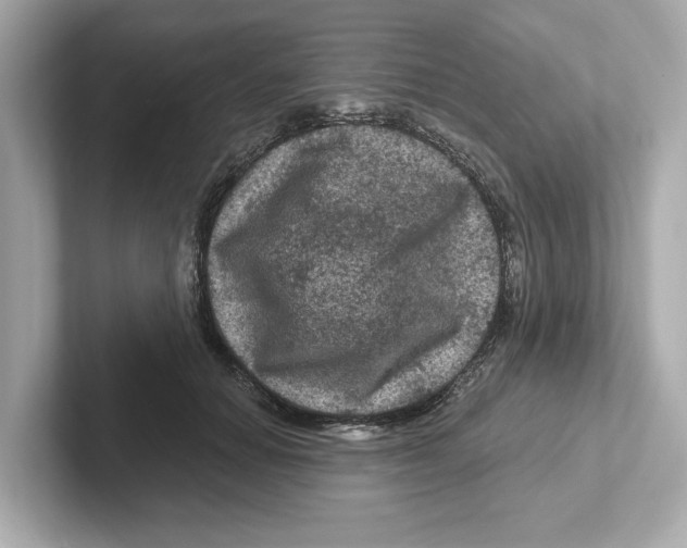 X0000101090654200807241009