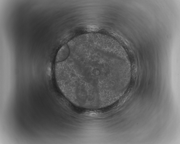 X0000101090655200807241009