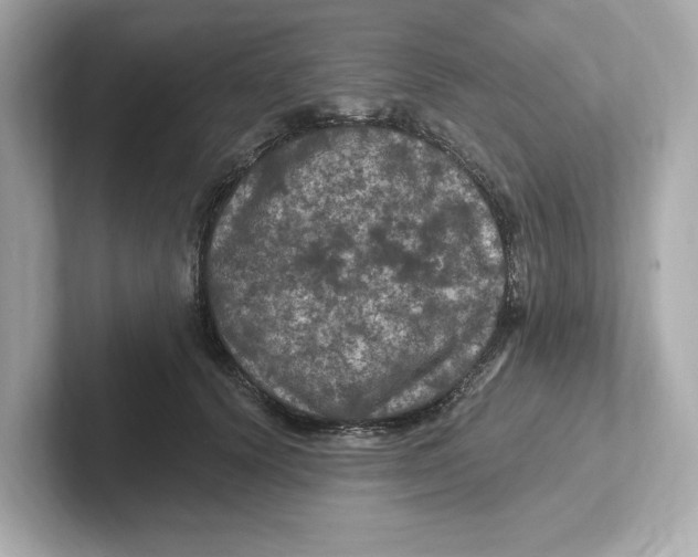 X0000101090656200807241009