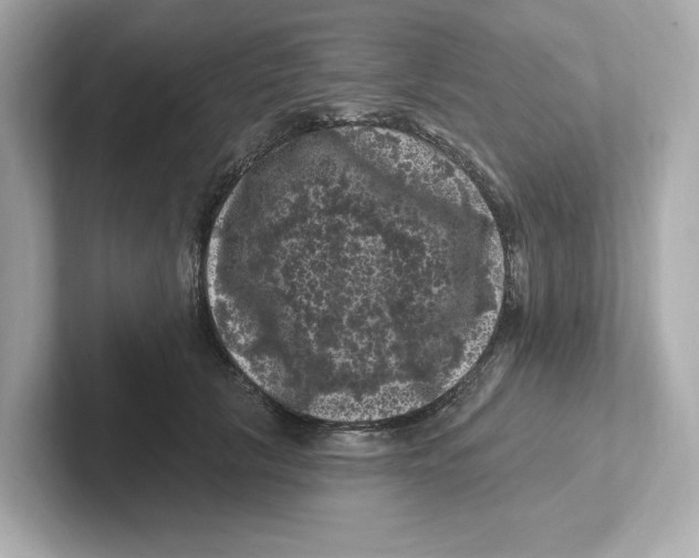 X0000101090657200807241009