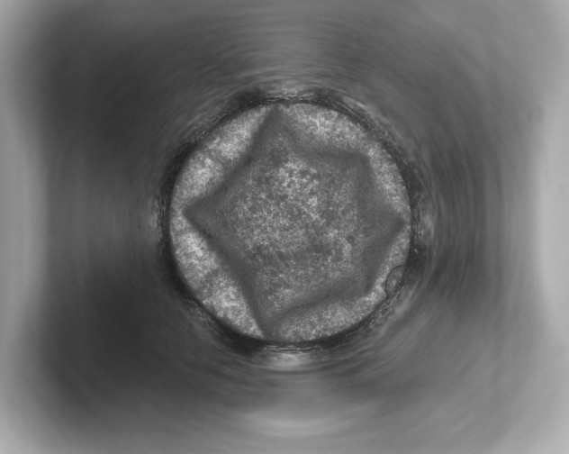 X0000101090658200807241009