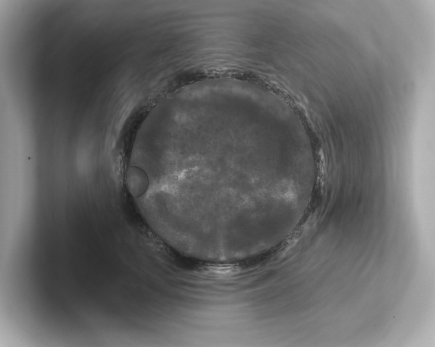 X0000101090659200807241009