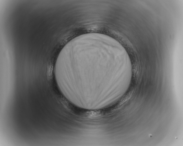 X0000101090660200807241009