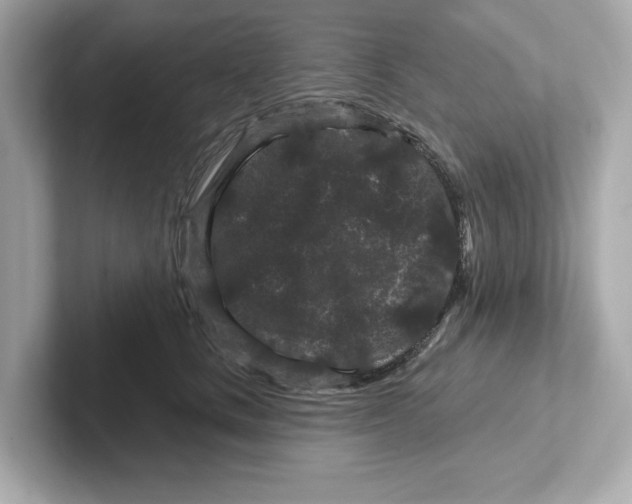 X0000101090661200807241009