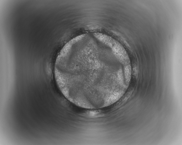 X0000101090662200807241009