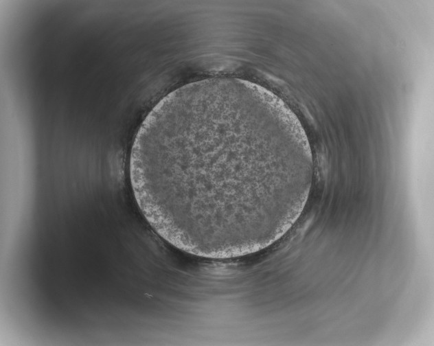 X0000101090664200807241009