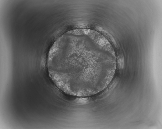 X0000101090665200807241009