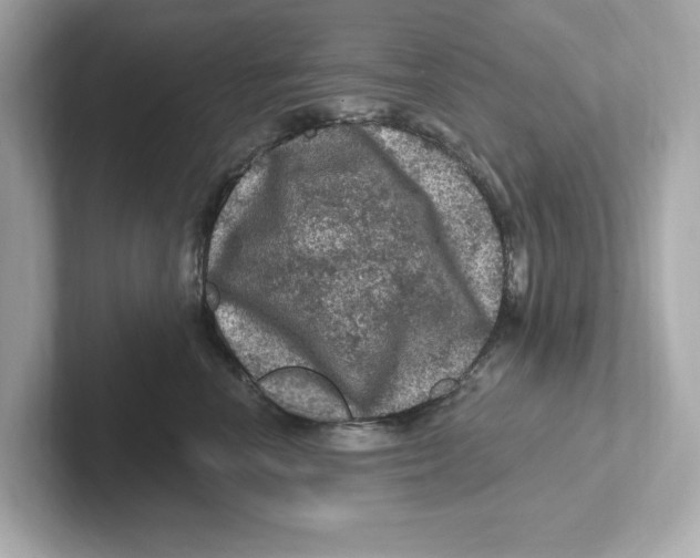 X0000101090666200807241009