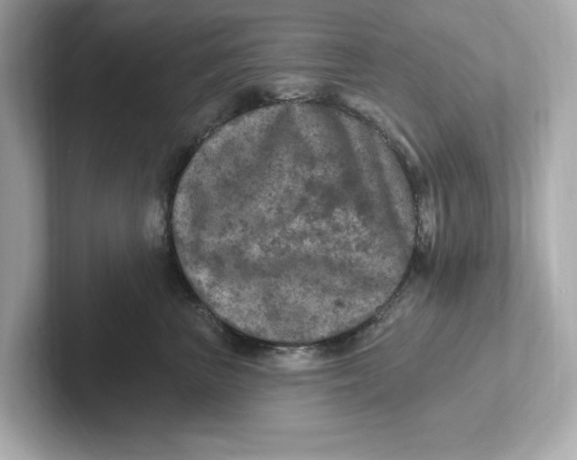 X0000101090667200807241009