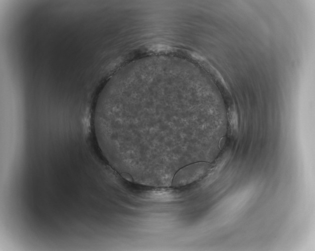 X0000101090668200807241009