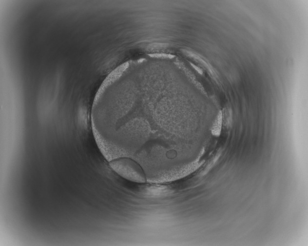 X0000101090669200807241009